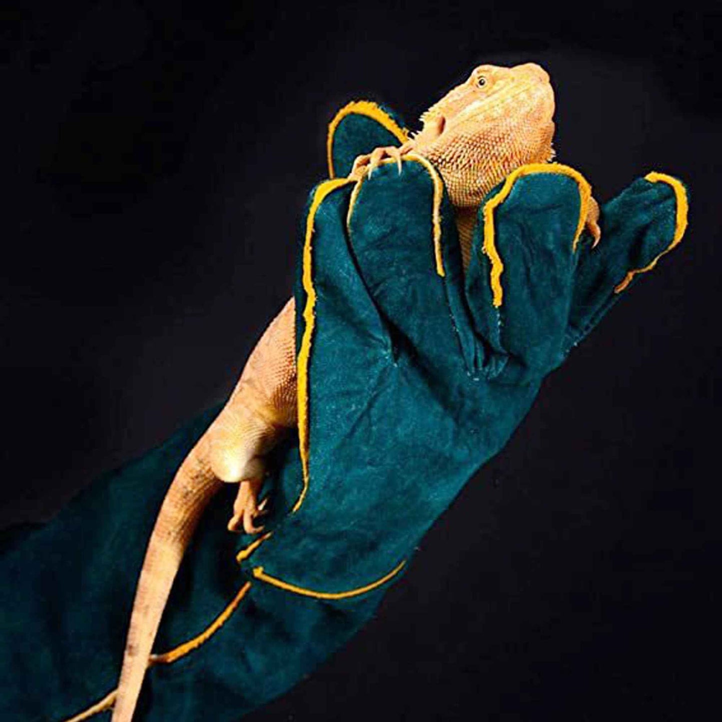 FelRelWel Animal Handling Gloves,23.6" Long Sleeves Gauntlet,Safety Work Glove, Cowhide Leather Anti Bite Glove Confront Pet Cat Bird Bite,Proof Gloves for Dogs Training, Dark Green,1 Pair