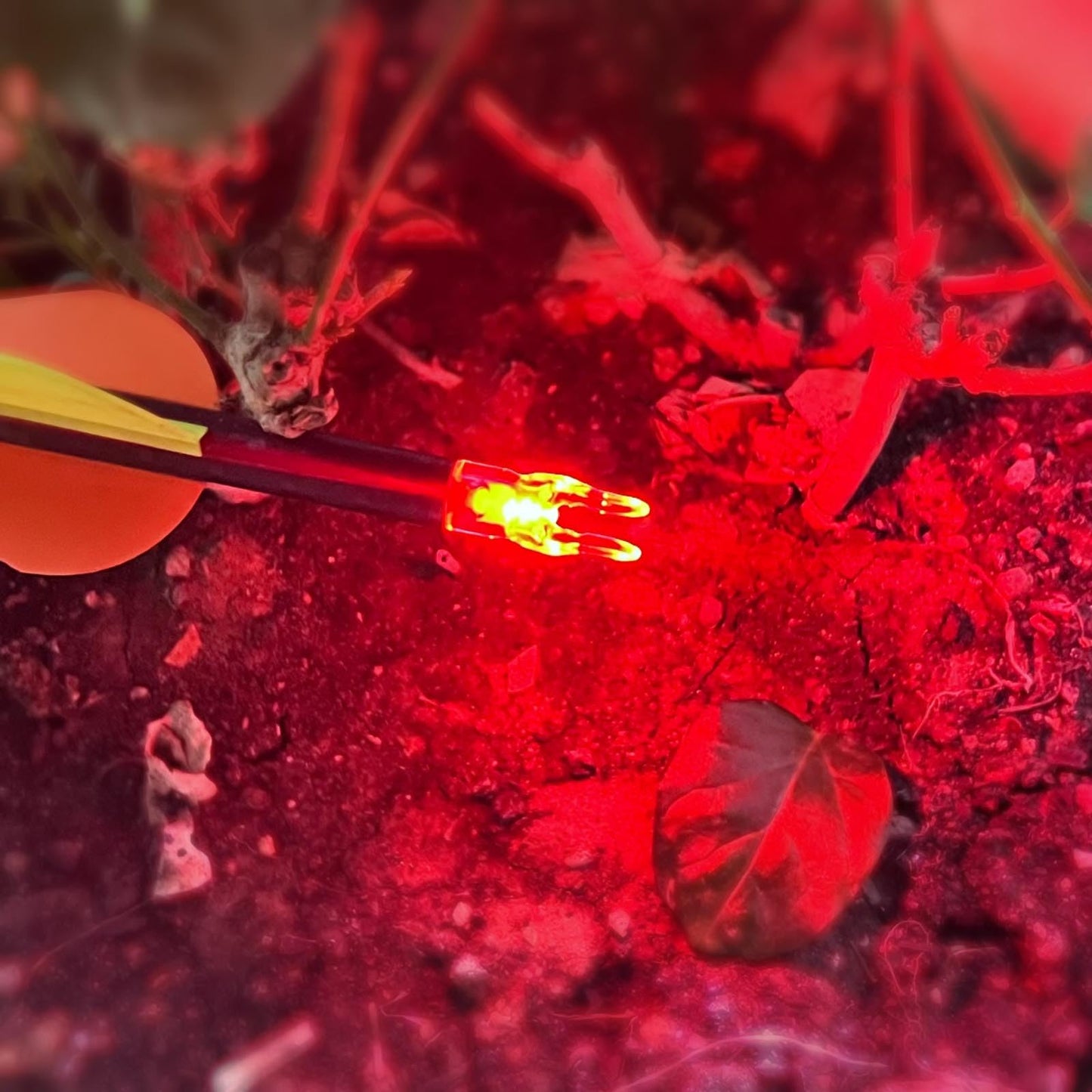 XHYCKJ 6PCS S Led Lighted Nocks for Arrows with .244" Inside Diameter,Screwdriver Included