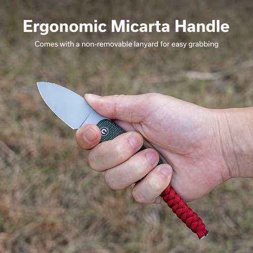 CIVIVI Edc Fixed Blade Knife with Kydex Sheath & Belt Loop, 2.39" Nitro-V Blade Small Baby Banter Camping Hiking Knife Designed by Ben Petersen, Lanyard and Chain Included C23045-2 (Green)