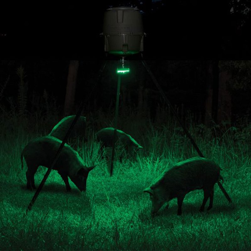 Moultrie Feeder Hog Light - 35 Green LEDs, 30-Foot Illumination, Motion/Dusk/Manual Modes, Mounts to Threaded Post Feeders