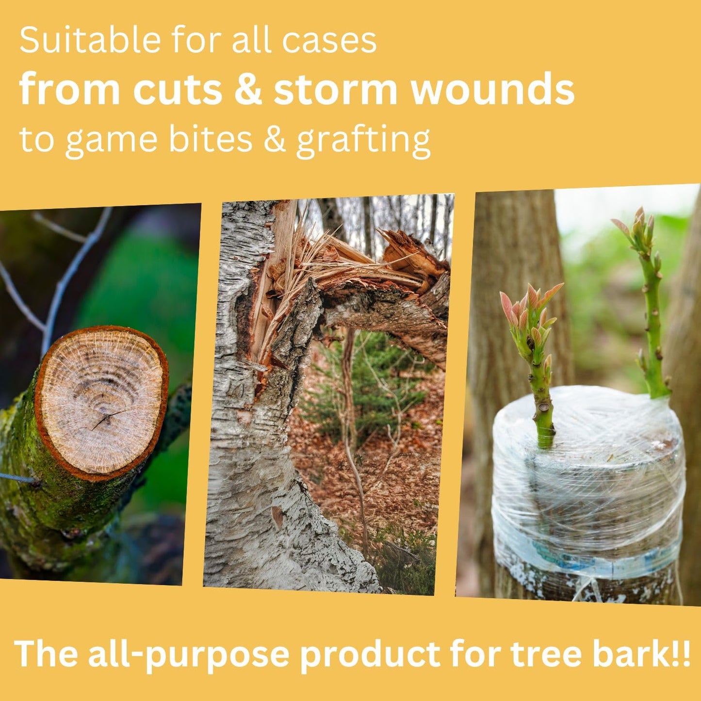 Briliantwerk 28 oz Transparent Tree Pruning Sealer - Tree Wound Sealer - Protective Coating for Pruning Cuts & Grafting Ideal for Tree Bark & Branch Care