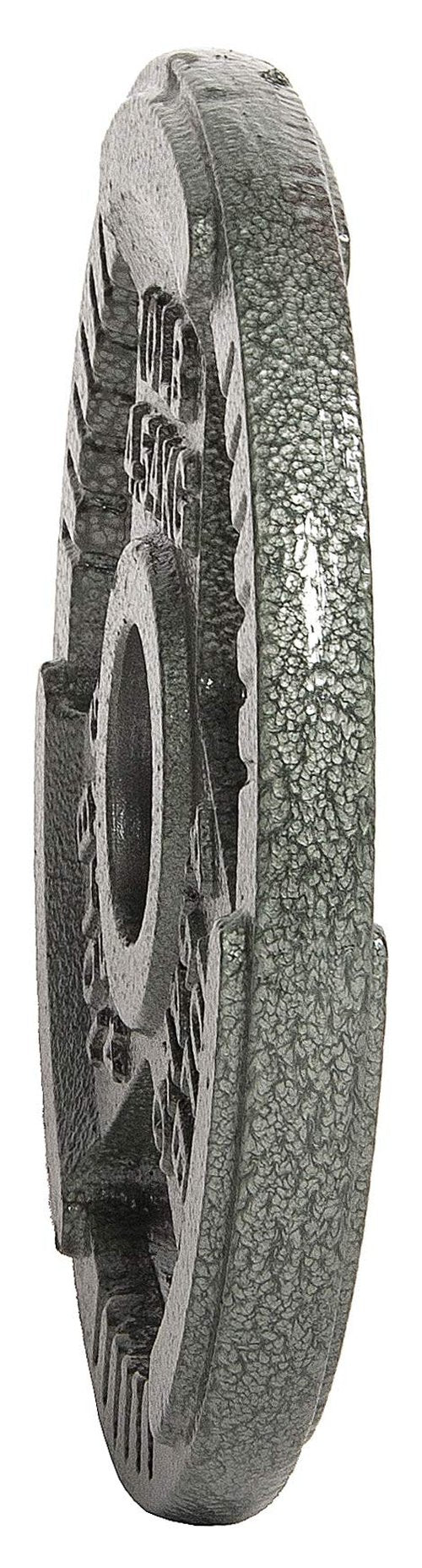 Cast Iron Plate Weight Plate for Strength Training and Weightlifting, 2-Inch Center, 10LB (Single)