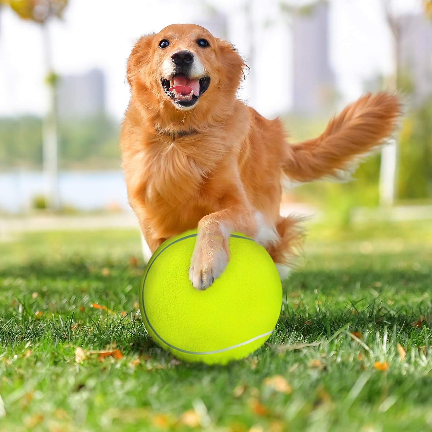atbuym 4 Pack 9.5" Oversize Giant Tennis Ball Dog Tennis Balls Large Pet Chew Toy for Outdoor/Indoor Sports Dog Ball Gift with Needle