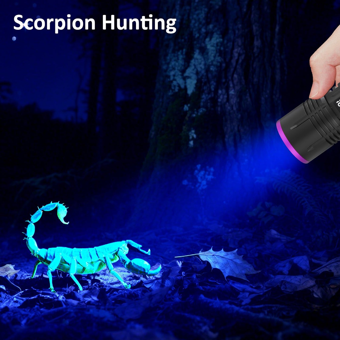 365nm UV Flashlight Rechargeable Black Light Flashlight Powerful, LCD Display Handheld UV Light for Pet Urine Detection,Resin Curing,Travel,Yooperlite,Scorpion,Blood Tracking,Rocks,Minerals,AC Leak