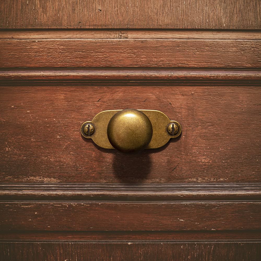 Goo-Ki Antique Brass Zinc Alloy Cabinet Knob with Backplate - Single Hole Center Cabinet Pull Hardware for Bedroom, Kitchen, 12 Pack（8611-G013）