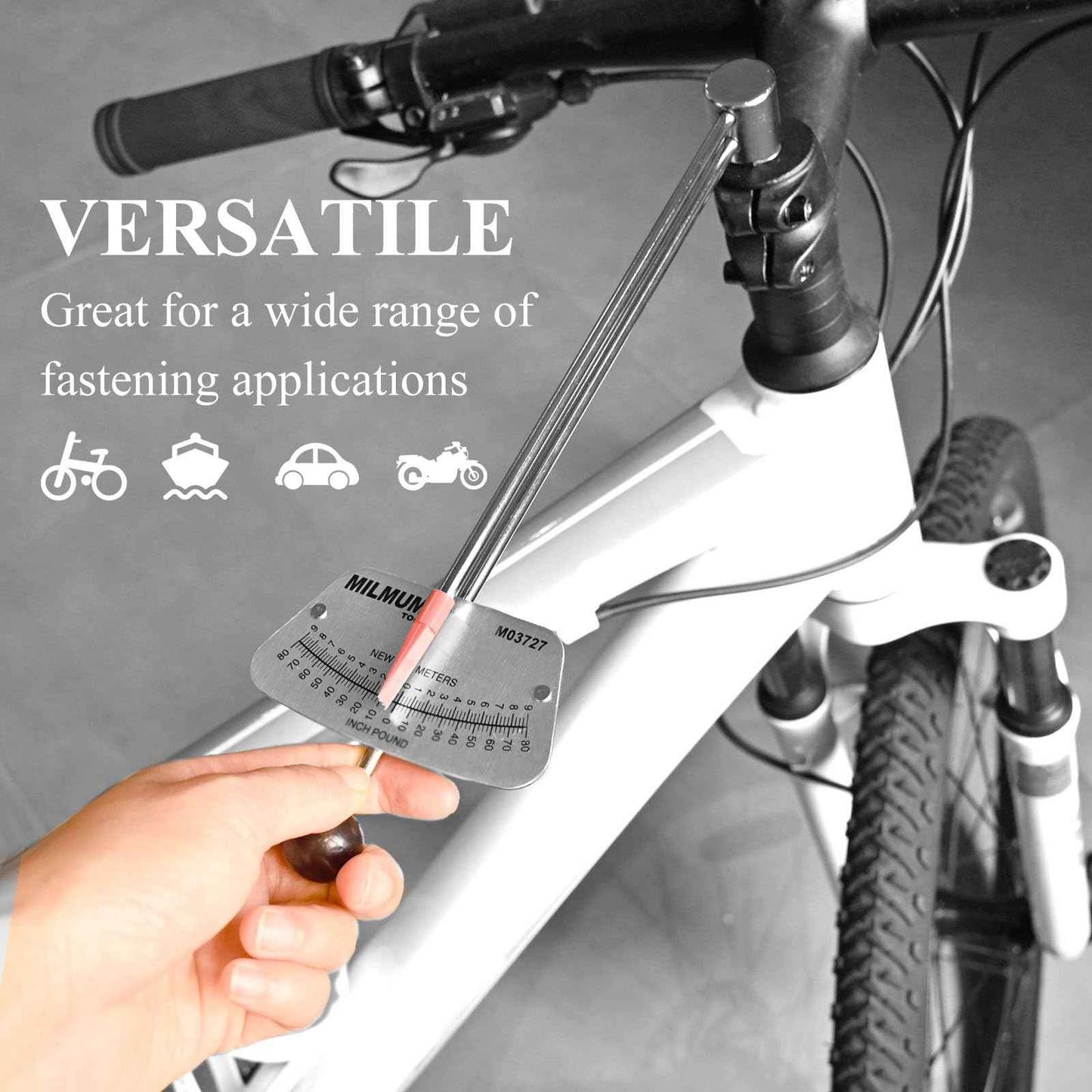 MILMUMU 1/4" Drive Beam Torque Wrench Precision Instrument-Compatible with SAE and MM Bicycle and Automotive Wrench -0-80 Inch-Pounds, 0-9 Newton Meters