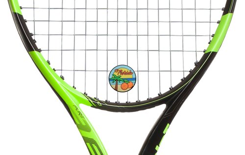 Racket Expressions Florida State Tennis Dampener 2 Pack
