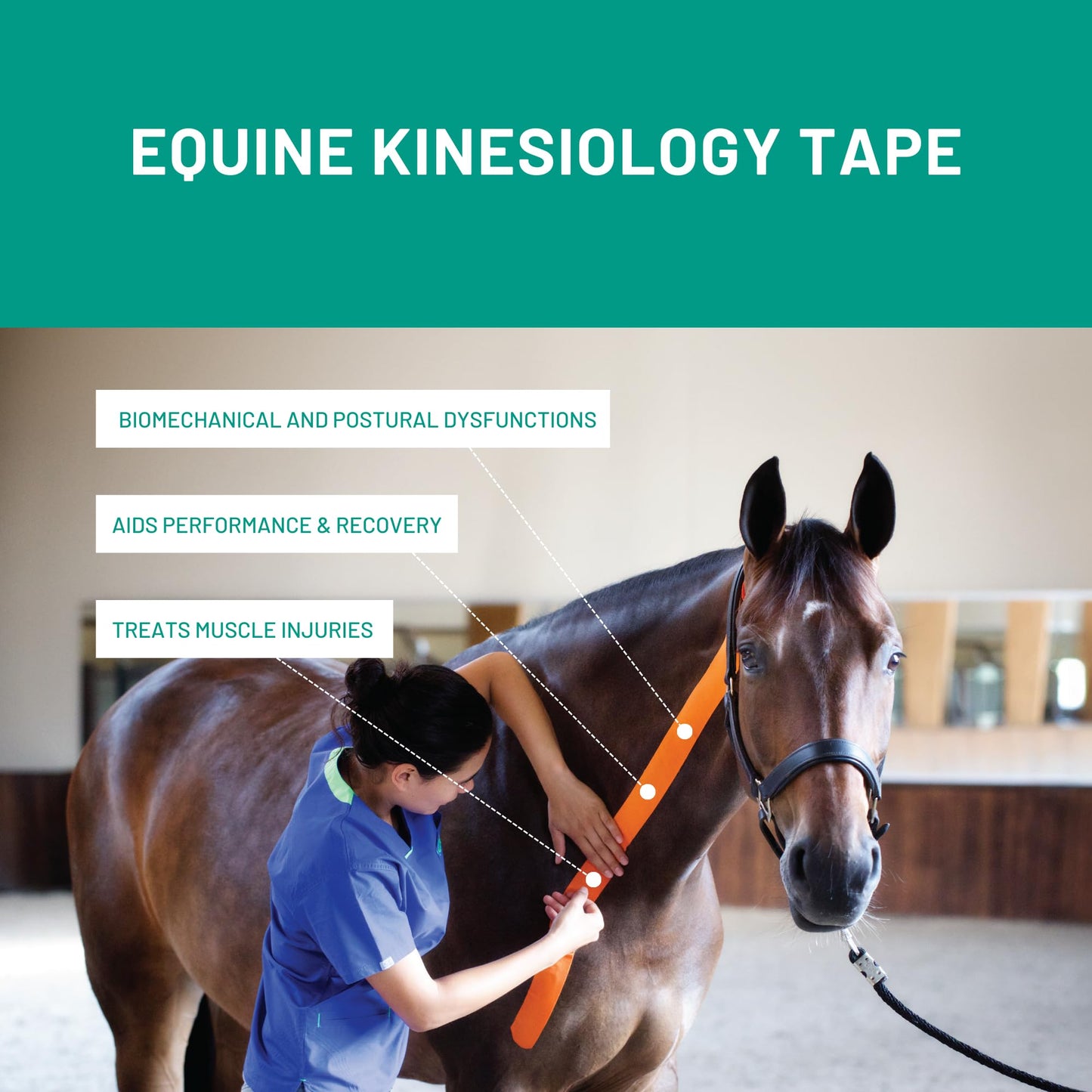 VetkinTape® Veterinary Kinesiology Tape Blue | Kinesiology Tape for Horses & Dogs | Equine & Canine Kinesiotape | Latex Free and Quality Mark Certified Ktape | 4 inch | Pack of 1 Roll