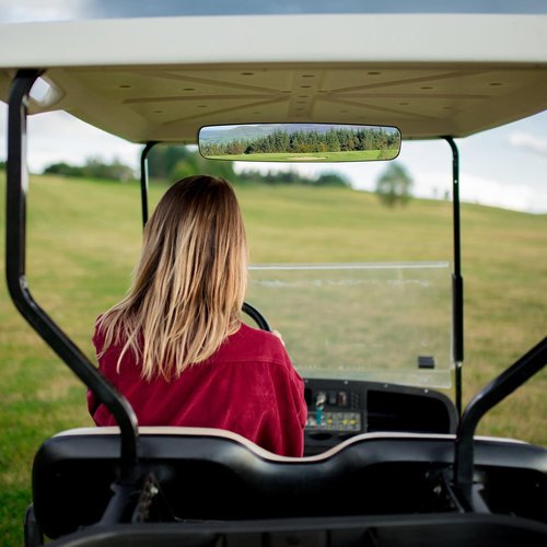 DenForste Golf Cart Rear View Mirror, 16.5" Golf Cart Mirrors Compatible with EZ Go, Club Car, Yamaha
