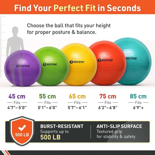 Body Sport Slow Release 65cm Exercise Ball with Pump, Gym Equipment for Home or Office, Stability Fitness Ball, Pregnancy Ball, Core Strength Training Equipment