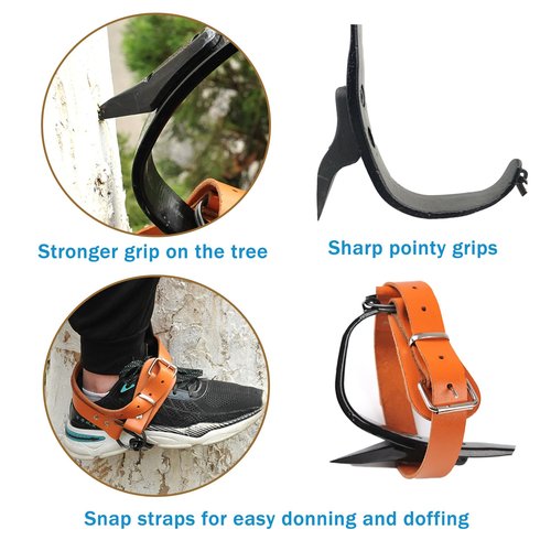 timiland Tree Climbing Spikes Set，Tree Climbing Gear，Adjustable Length Design,Alloy Steel Pole Climbing Spurs,Hunting and Observation,Fruit Picking (Set H)