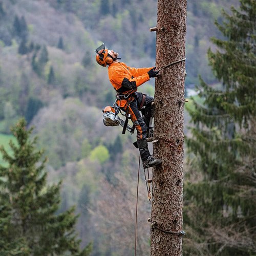 Lydnvjx Tree Climbing Gear, Tree Climbing Spikes, Arborist Equipment for Climbers, Hunting, Fruit Picking Tree Climbing Equipment