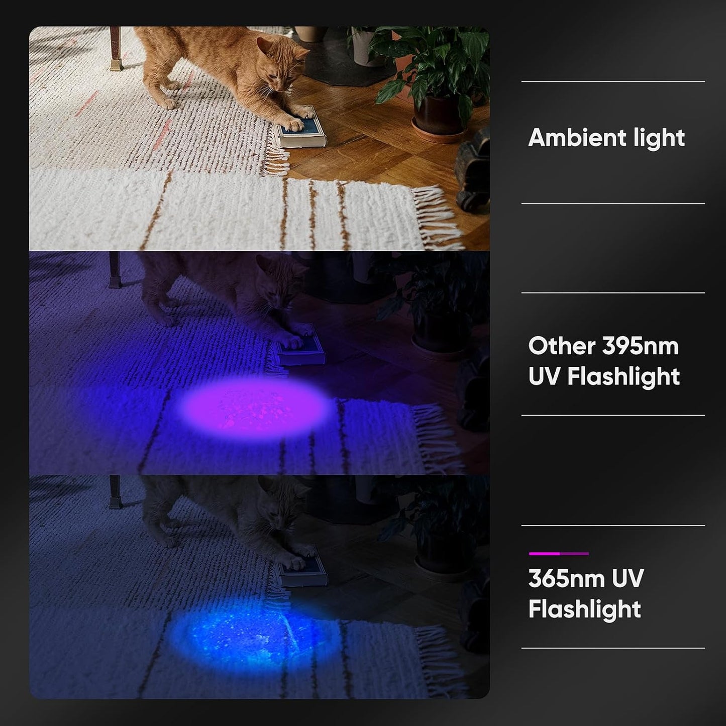 30W UV Flashlight - Rechargeable Black Light for Pet Urine Detection & Curing
