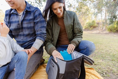 Igloo Maxcold Ice Block - Durable Insulation for Long-Lasting Cold Retention | 12" x 6" Size