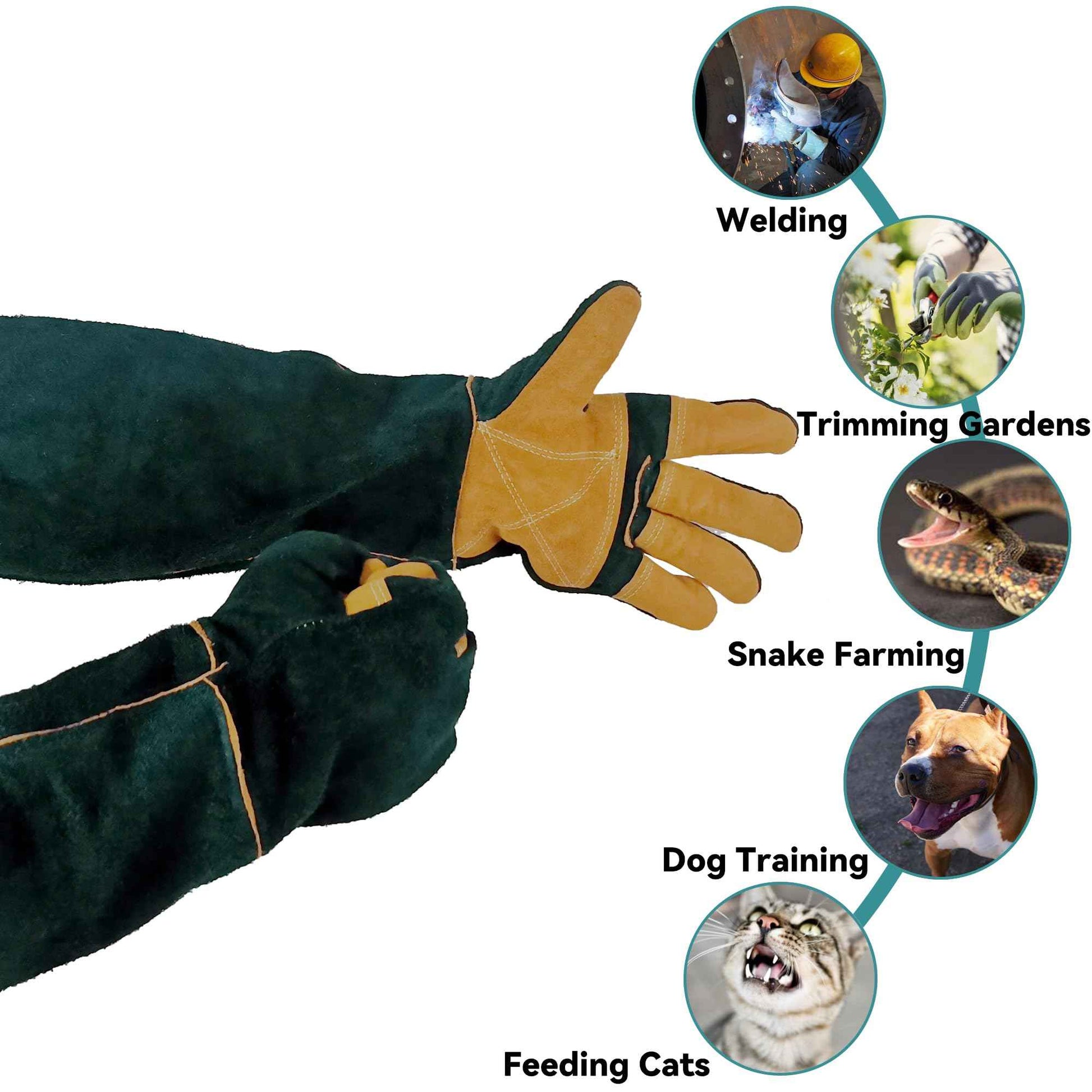 FelRelWel Animal Handling Gloves,23.6" Long Sleeves Gauntlet,Safety Work Glove, Cowhide Leather Anti Bite Glove Confront Pet Cat Bird Bite,Proof Gloves for Dogs Training, Dark Green,1 Pair