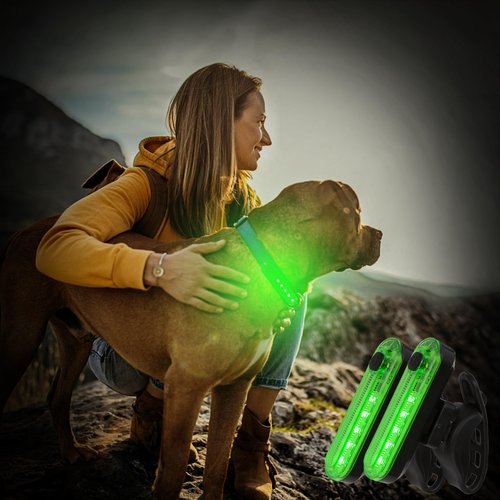 2 Pcs Green LED Bicycle Light, USB Rechargeable Bike Tail Light, Bright Rear Cycling Safety Flashlight, 4 Light Mode Options for Adult Men Women Road Mountain Waterproof 220mAh (2 USB Cables Included)