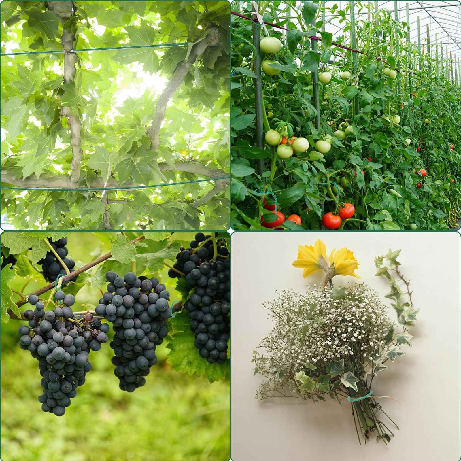 YDSL 100 Feet Soft Tie for Plants, 3 Pack Green Twist Garden Ties Gardening Supplies for Supporting Climbing Plants, Tomatoes, Vegetables, (Diameter - 2.5MM)