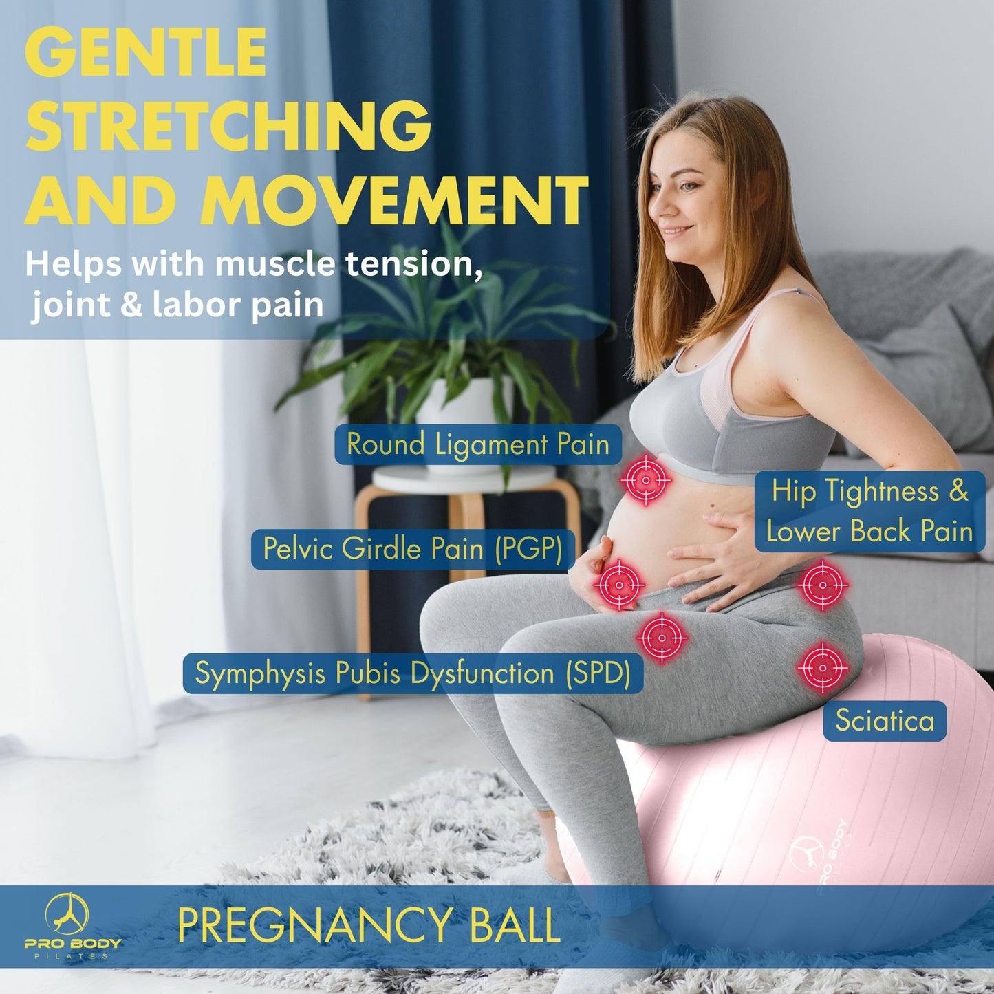 ProBody Pilates Pregnancy Ball - Yoga Ball for Pregnancy with Book, Prenatal, Labor & Postnatal Maternity Exercise (Rose, 65 cm)