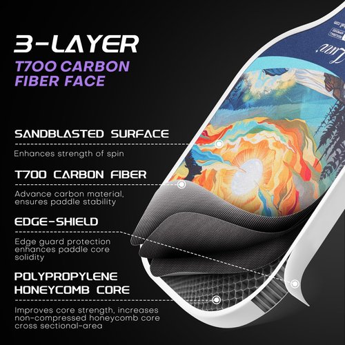 LUZZ Pickleball Paddles Set of 2, T700 Carbon Fiber Pickleball Paddle Sandblasted Surface with Honeycomb Core for Beginners Increased Spin Control Pickle Ball Rackets 2 Pack