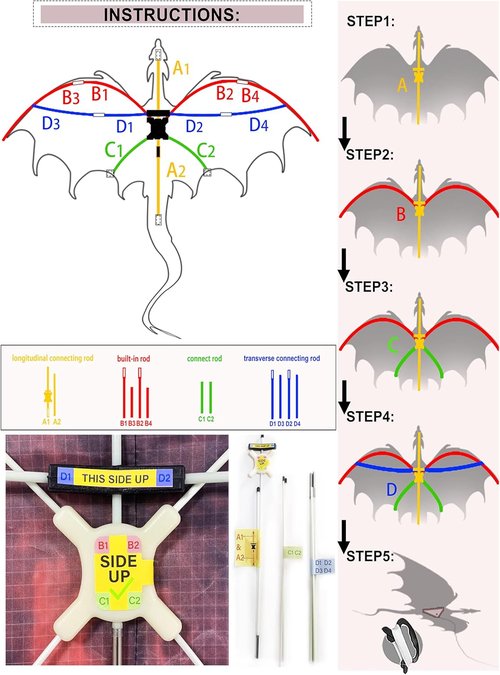 JEKOSEN Fiery Dragon Kite - 54" Easy to Fly Design with 160" Tail for Family Outdoor Fun
