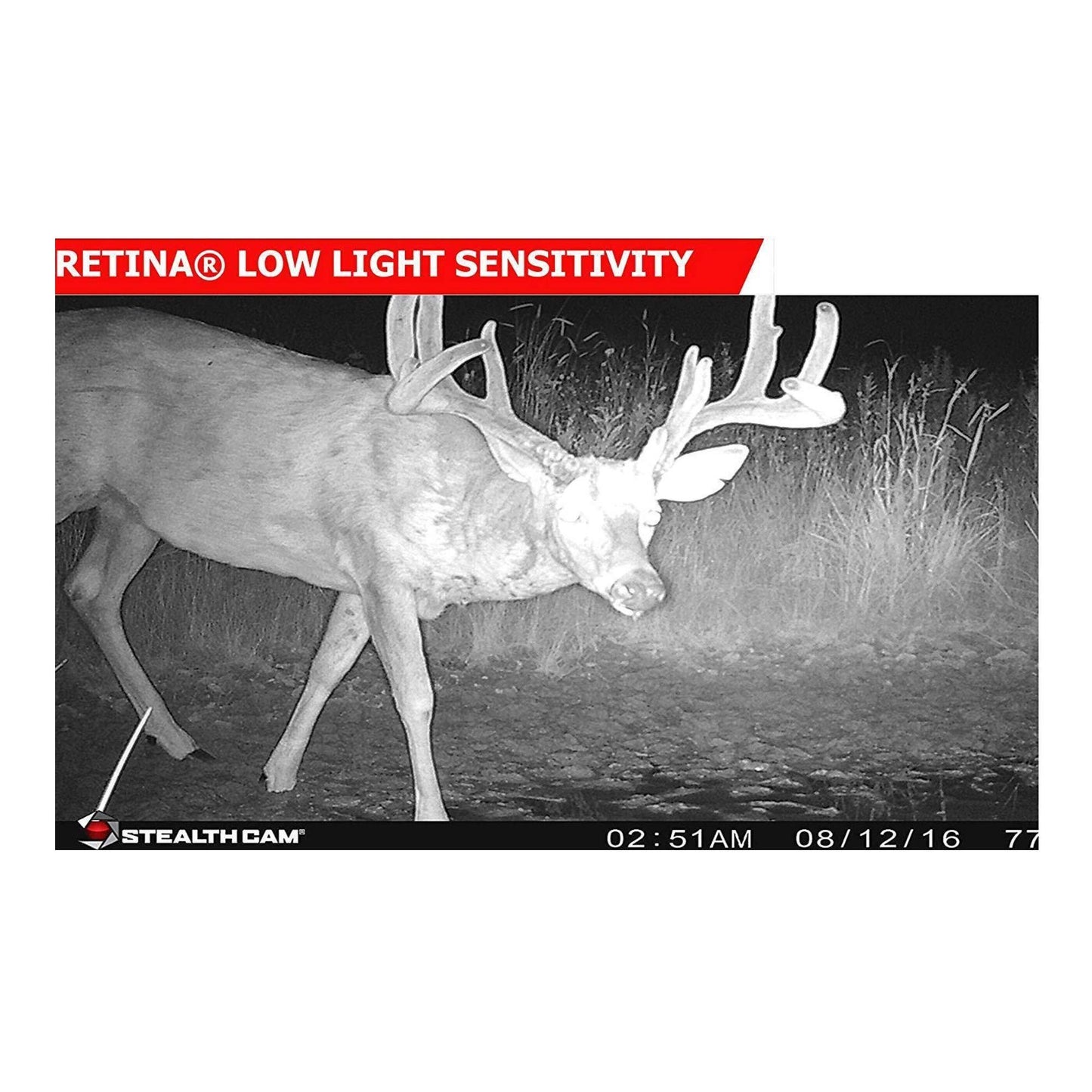Stealth Cam 2020 G42NG 24MP Trail Camera and Memory Card Bundle. No-Glow Flash, 100-Ft. IR Range, Kryptek Camo (3 Items)