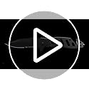 Compact Tactical Knife - 2.68" Serrated Blade - Black Folding Tool with Glass Breaker & Seatbelt Cutter