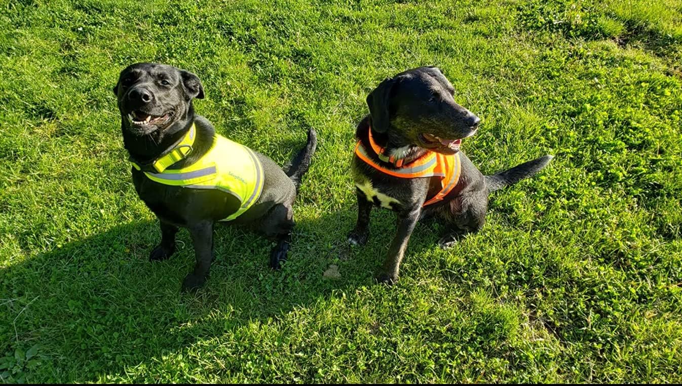 SafetyPUP | XD Lite Dog Vest - Reflective Hi-Visibility Fluorescent Yellow for Enhanced Safety