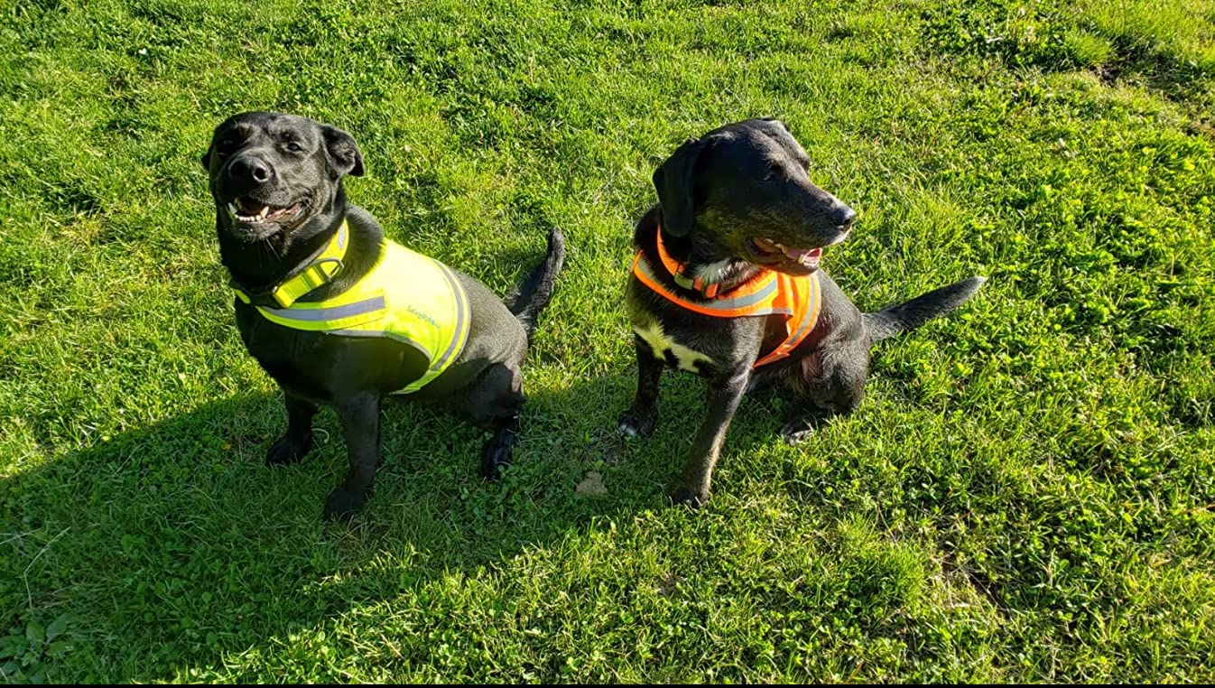 SafetyPUP XD Lite Dog Vest. Coverage to Mid Back. Reflective Hi Visibility Fluorescent Yellow Fabric Helps to Keep Them in Sight and Safe On and Off Leash.
