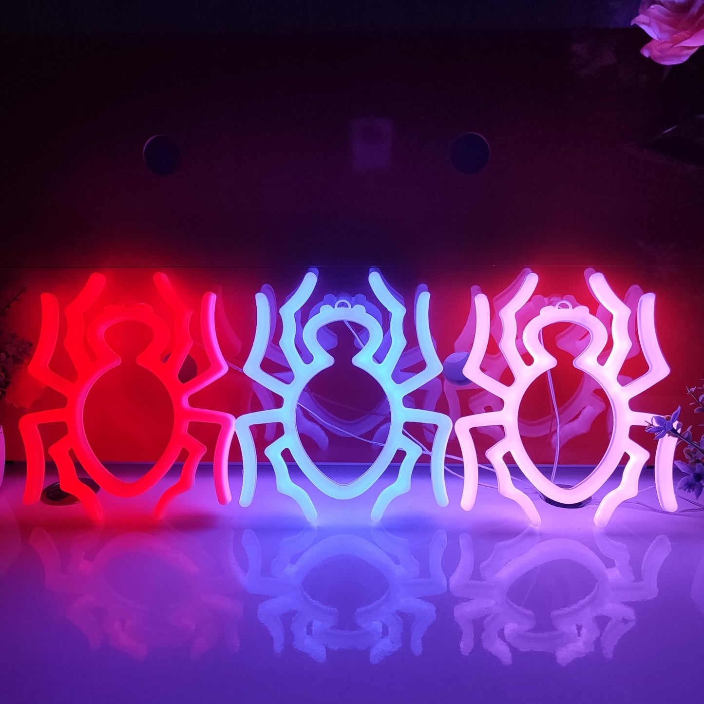 JYWJ Spider Double Sided Neon Signs,USB or 3-AA Battery Powered Neon Light,LED Desktop Wall Decoration,Various Parties,Decoration Of Business Premises (Purple)