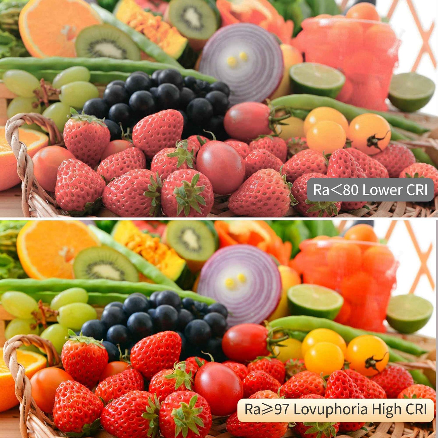 lovuphoria Dimmable Zoomable Spot Lights Indoor Spotlight, 12W Adjustable Angle Ceiling Spotlights for Wall Art Corridor Living Room, Accent Lighting Brushed Nickel Finish - Warm White