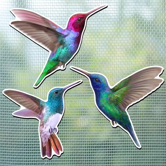 Konohan 3 Pairs Hummingbird Screen Door Magnets Double Sided Patio Flexible Magnetic Screen Saver Decorative Retractable Window Magnetic Decals for Sliding Patio Door (Bright)