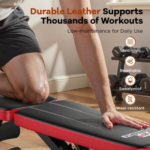 NICEPEOPLE Basic Weight Bench for Home Gym, 8 Backrests Adjustable Bench with 660LBS Weight Capacity for Chest Shoulders Arms Muscles, Foldable and Compact for Small Space Apartment Room