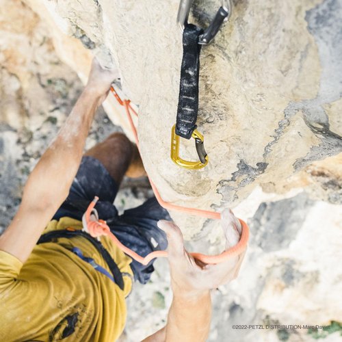 Petzl Spirit Bent Gate Carabiner 6-Pack - Color Coded Rack Pack
