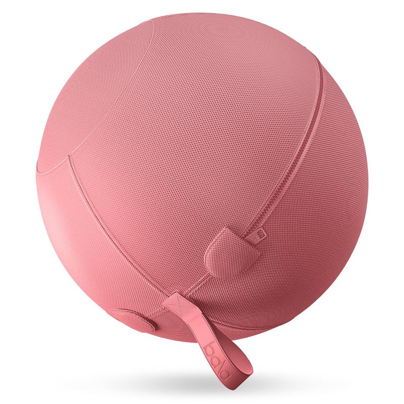 Bala Balance Ball - Exercise Ball Chair for Yoga, Pilates, Barre, Core Strengthening & Physical Therapy - Women's Gym Equipment & Workout Accessories - Blush