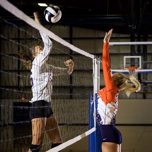 Champion Sports Volleyball Net Set - Durable Design for Outdoor Play | Multiple Styles Available