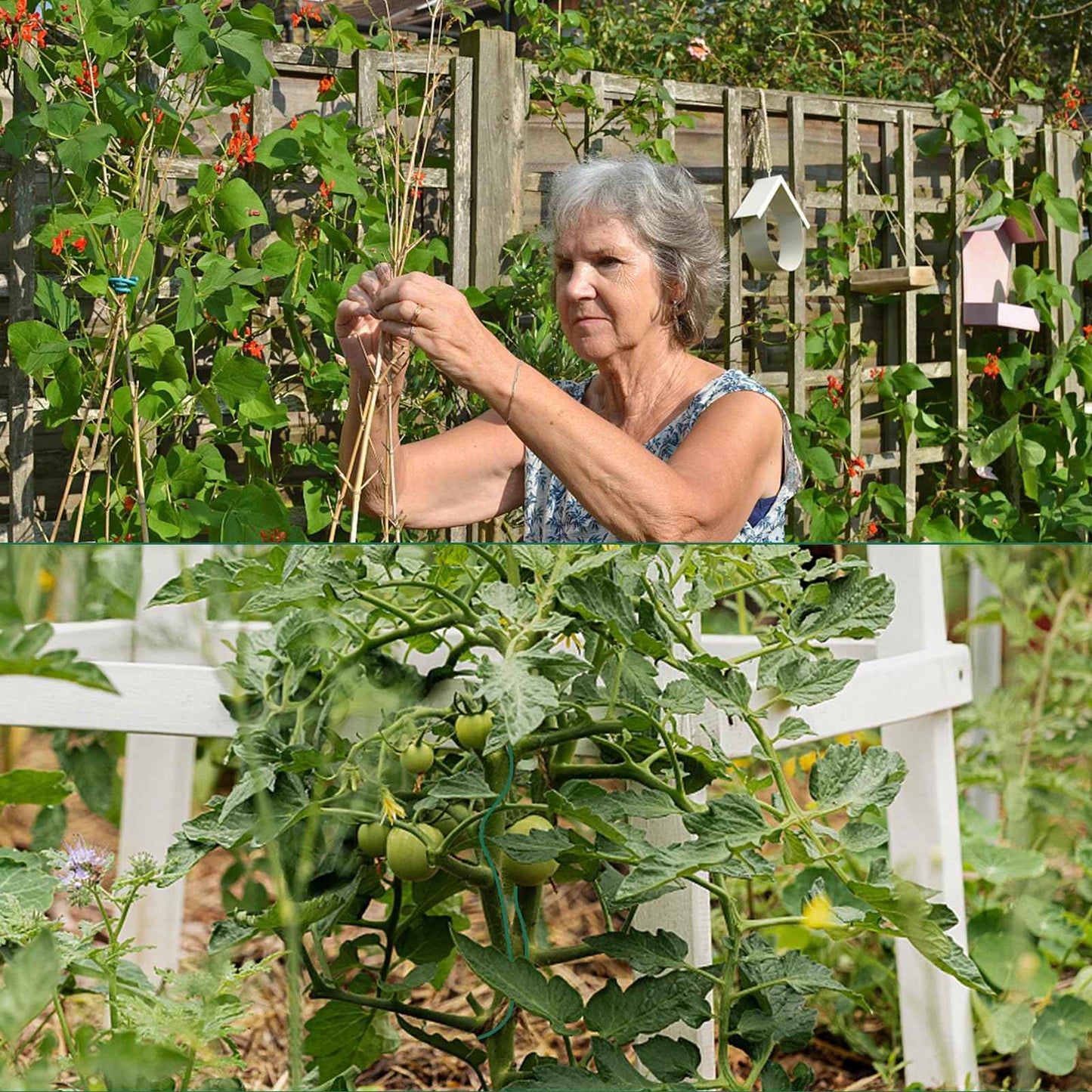 YDSL 100 Feet Soft Tie for Plants, 3 Pack Green Twist Garden Ties Gardening Supplies for Supporting Climbing Plants, Tomatoes, Vegetables, (Diameter - 2.5MM)