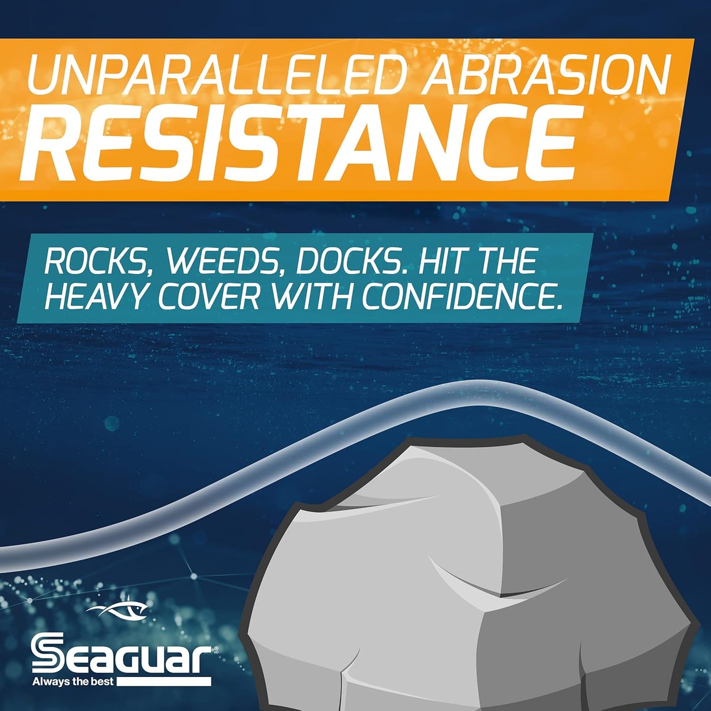 Seaguar Blue Label Fishing Leader Line - 100% Fluorocarbon for Saltwater | Clear, Multiple Sizes Available