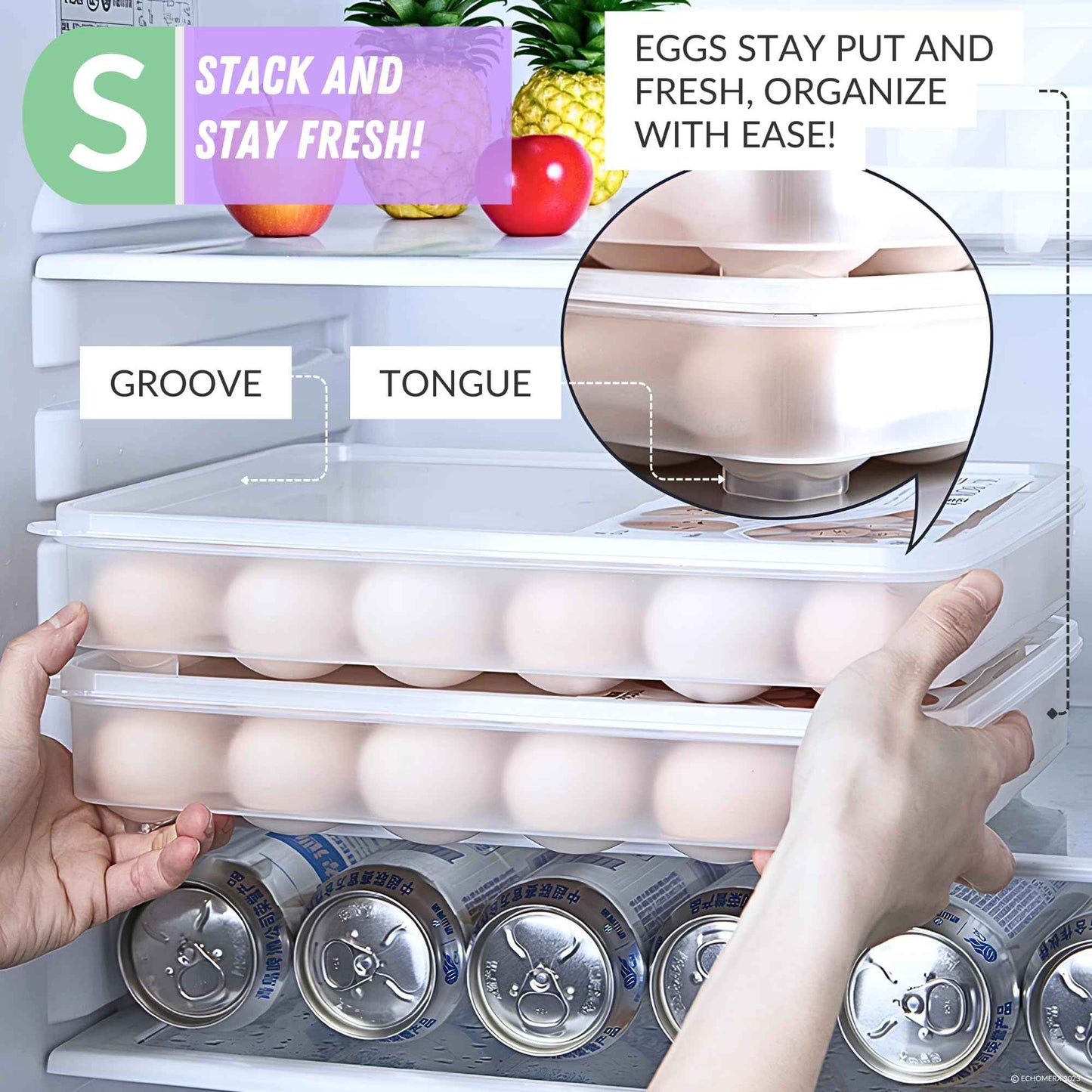 echomerx 2-Set Deviled Egg Containers with Lid - Portable Plastic Devil Egg Holder for 48 Eggs - Stackable Refrigerator Carrier - Clear Tray - Secure Seal - Easy-to-Clean Party-Ready Organizer