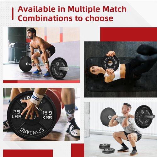 【10LB Two-Pair Set】2" Cast Iron Weight Plates | (4 x 10LB) Black Plates with Silver Numbers | Fits Standard Dumbbell Handles & Barbells