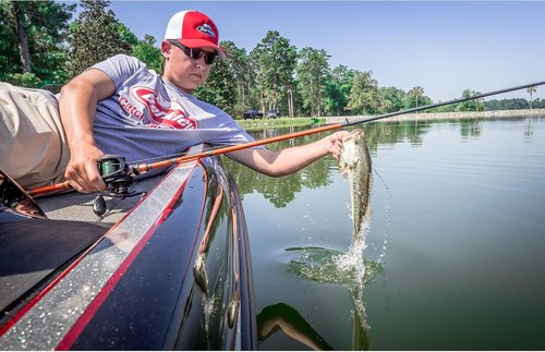 Berkley PowerBait Power Eggs - Floating Magnum Fishing Soft Bait | Ideal for Freshwater Anglers