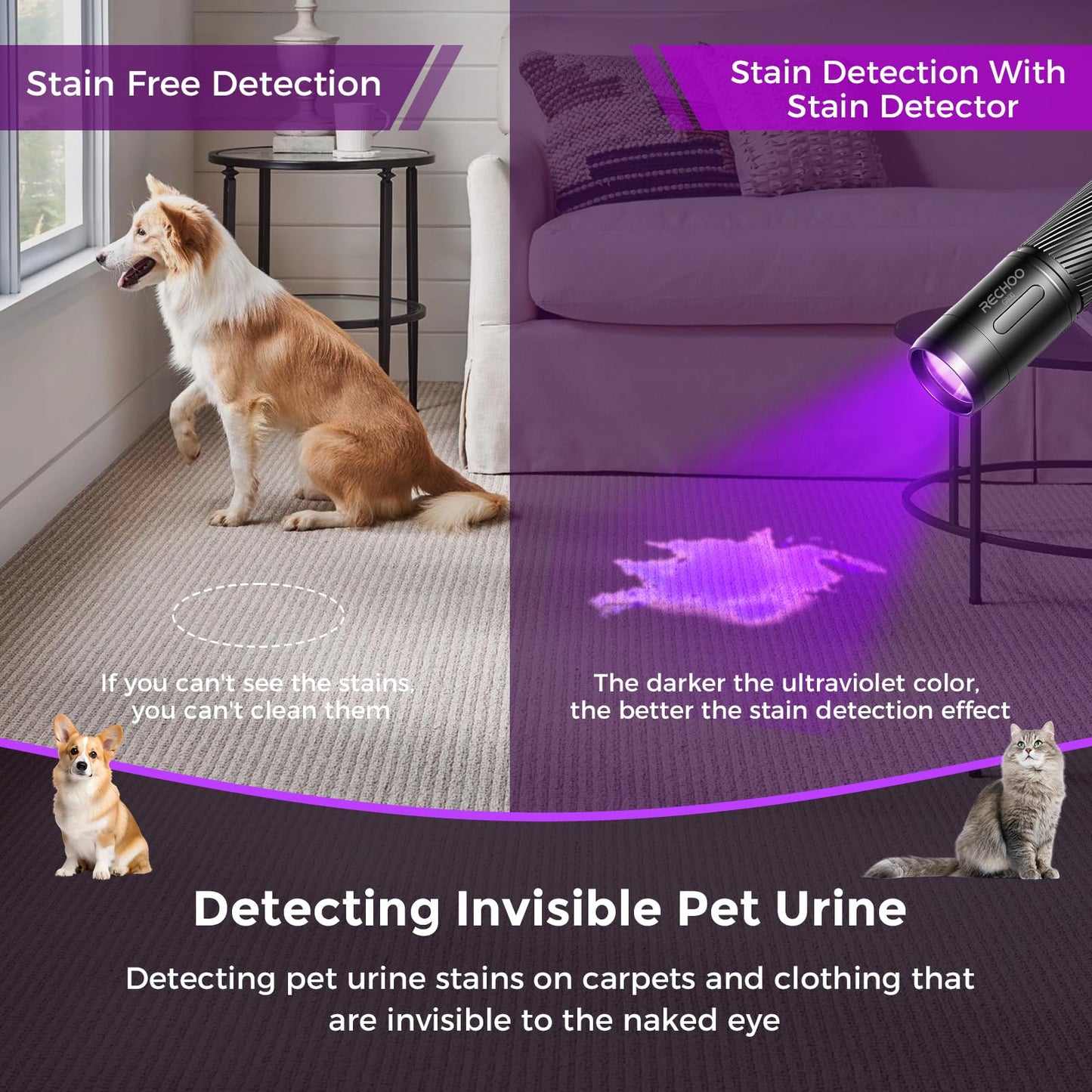 RECHOO Black Light UV Flashlight, 395nm Blacklight Rechargeable Flashlights UV Light, Portable Mini Black Light for Pet Urine Detection, Bed Bug, Dry Stains, Resin Curing, Scorpions Finder