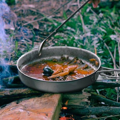 SILVERANT Camping Plate Titanium Pan Dish Plate with Handle & Mesh Bag, Large Reuseable Ultralight Dinner Plate for Camping Outdoors Backpacking (1000ML)