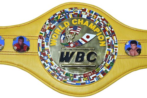 Generic WBC Championship Boxing Belt 3D Replica Adult Titles (Yellow)