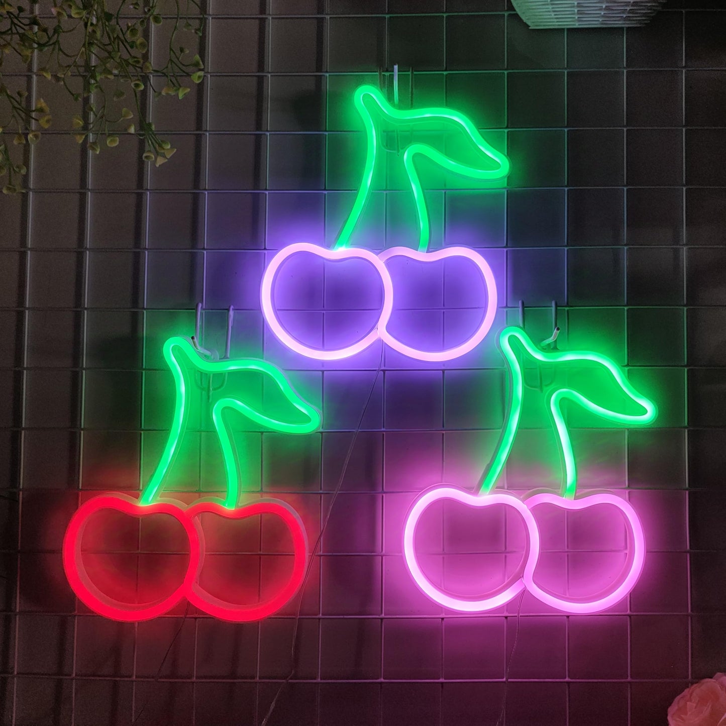 JYWJ Cherry Neon Sign,USB or 3-AA Battery Powered Neon Light,LED Table Decoration,Bedroom Wall Decoration,Birthday Gift,Wedding Supplies Business Gift(Green+Pink)