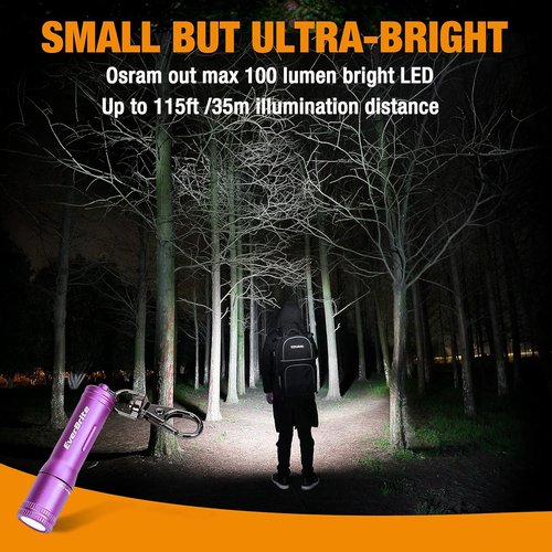 EverBrite Mini Keychain LED Flashlight - Bright Portable Pocket Torch for EDC & Emergencies | Purple