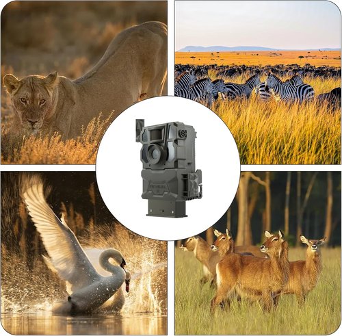 E EGOWAY Rechargeable Battery Pack for Reveal Trail Cameras X, X Pro, X Gen 2.0, XB, SK (6000mAh) – Long-Lasting Power with Type-C Charging Port (EM6)