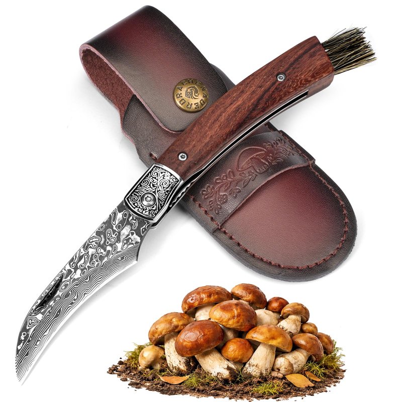 DRACHENADER Mushroom Knife with Brush, Folding Foraging Knife with VG10 Damascus Steel Blade, Curved Blade Mushroom Harvesting Knives with Leather Sheath for Camping