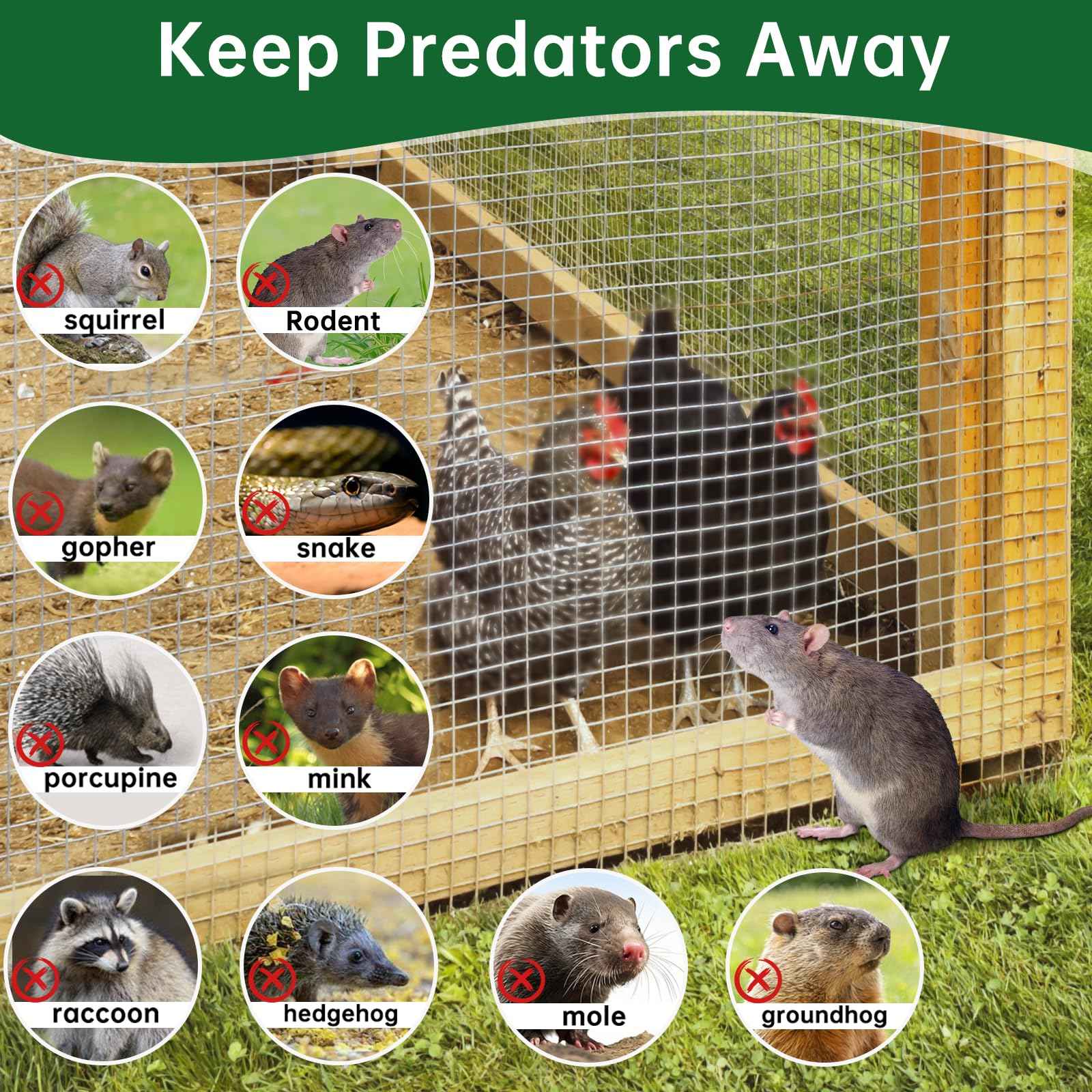 AMAGABELI Garden & Home Hardware Cloth Weld Wire Fence 1/2 inch 48 x 100 ft Galvanized 19 Gauge Chicken Wire Fence Welded Wire Mesh Roll Fencing for Gopher Wire Rabbit Snake Plant Supports Poultry