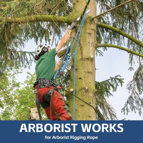 Arborist Rope- Climbing Tree Rope-1/2inch x100ft-Arborist Equipment Polyester Rope for Rock,Hiking, Camping,Swing,Tree,Rescue,Blue