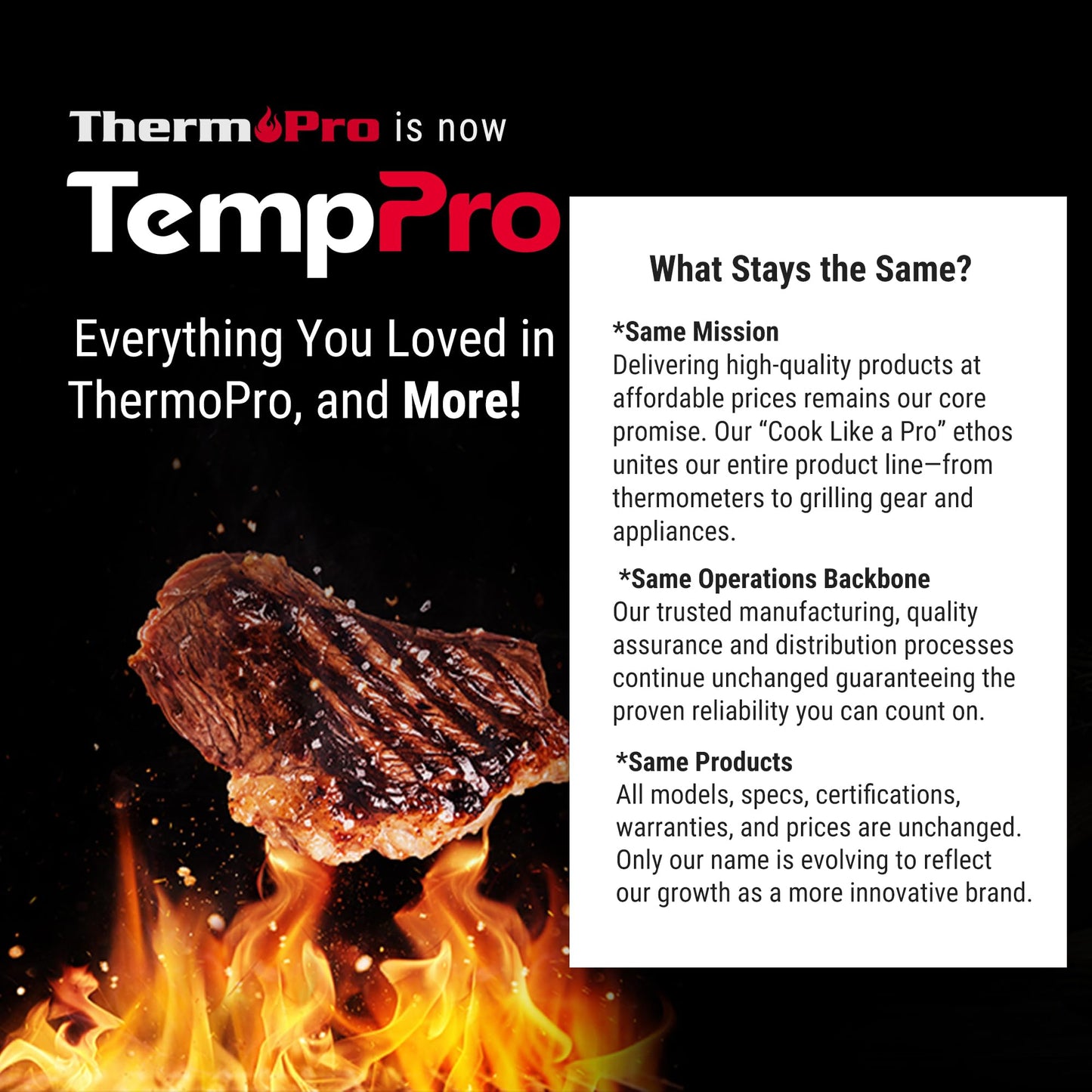 TempPro TP19H 1 Sec Digital Meat Thermometer for Cooking
